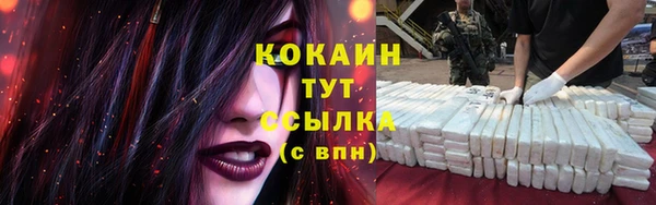 СК Аркадак