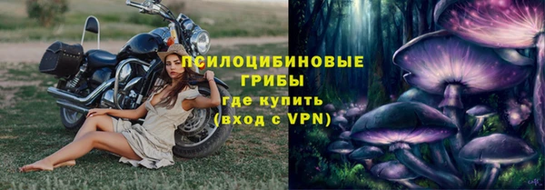СК Аркадак